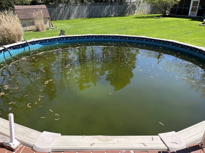 Before liner replacement in the Rochester, NY area: green, murky water over an old liner